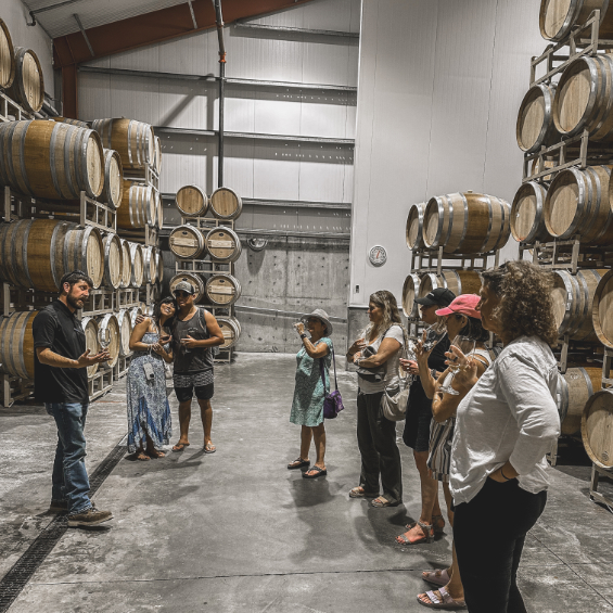 Barrel tasting on private wine tour. Group of 8 people and a wine educator.