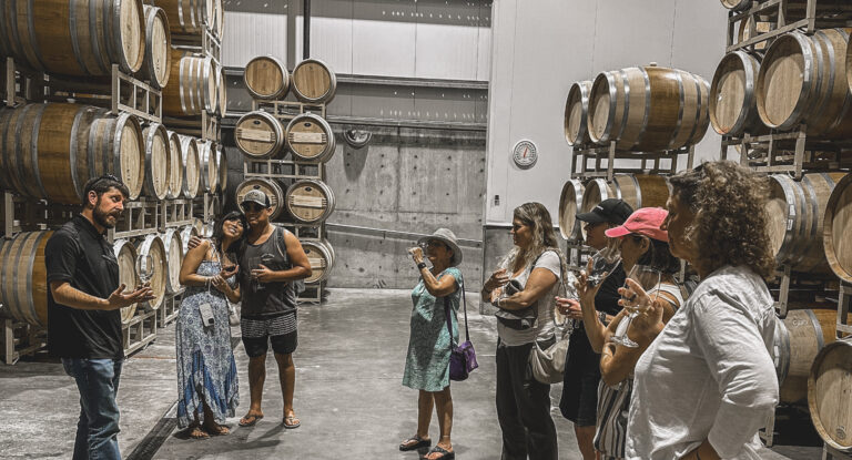 Barrel tasting on private wine tour. Group of 8 people and a wine educator.