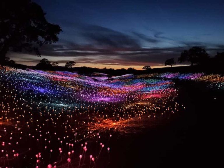 Things to Do in Paso Robles; sensorio field of light by bruce munro