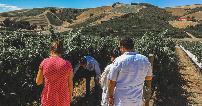 hearst castle and vineyard tour