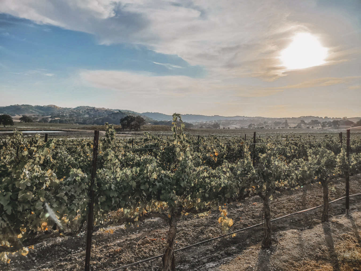 wine tasting tours paso robles