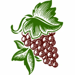 Wine History Project