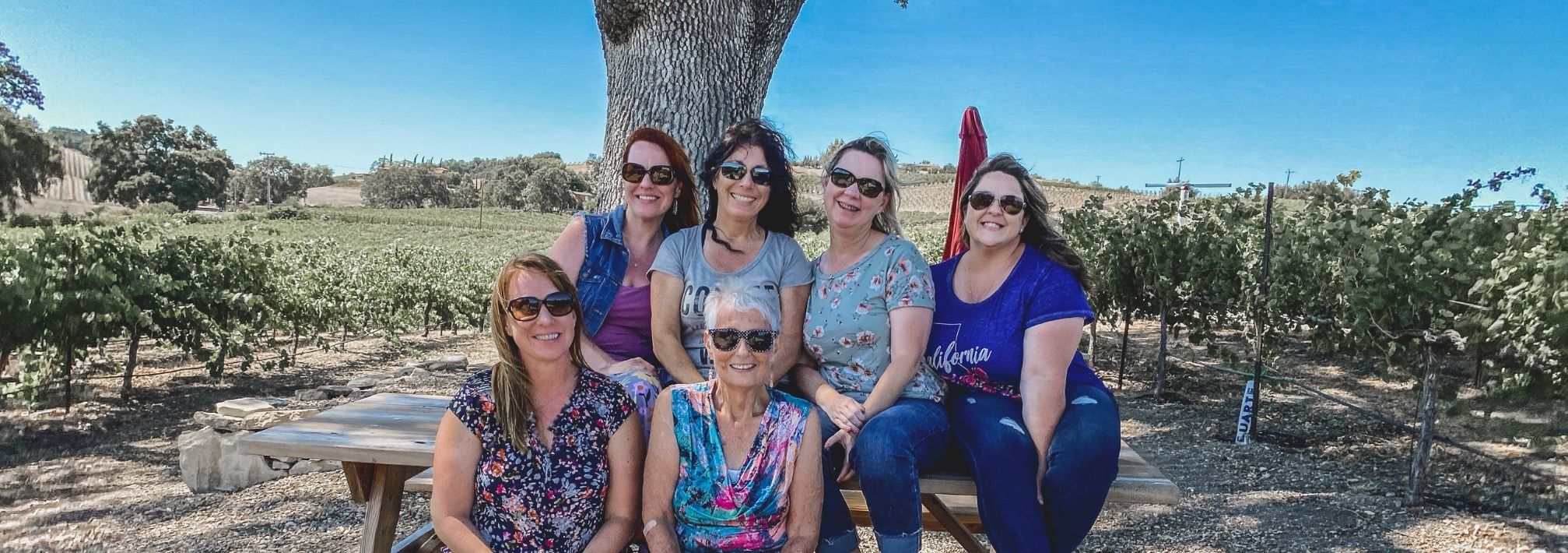 six women sitting on a picnic bench in a paso robles vineyard on a wine tour