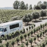 wine tasting transportation bus driving through a Paso Robles vineyard