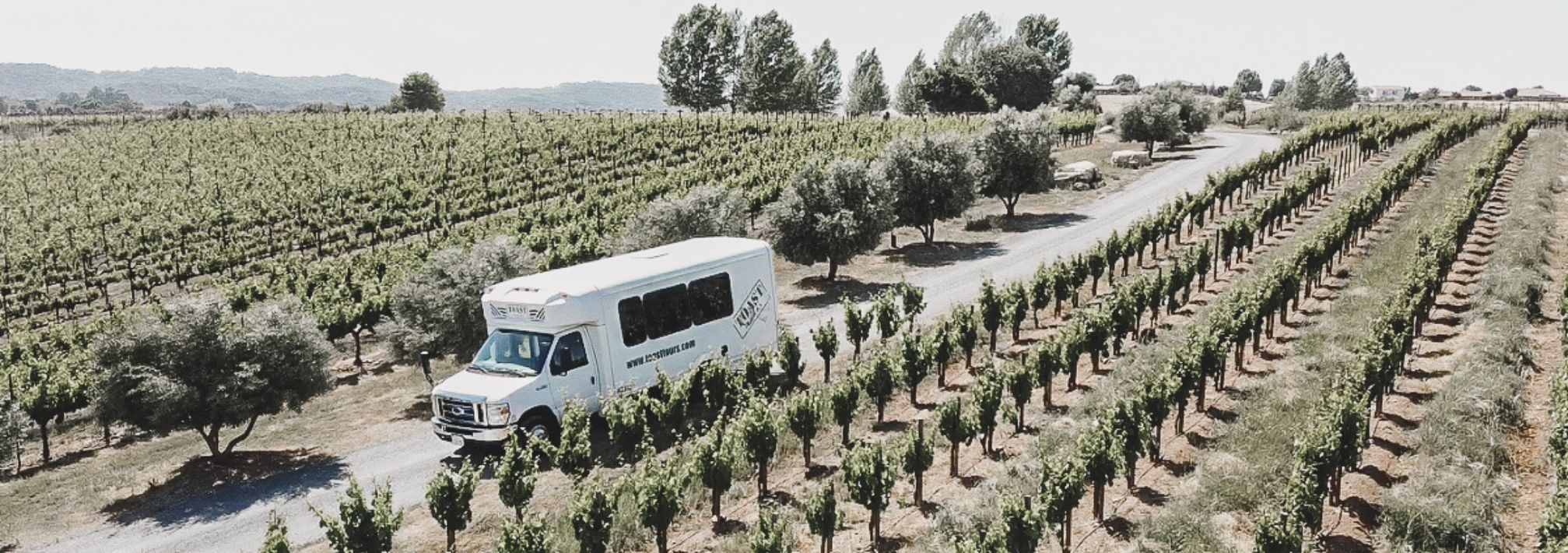 wine tasting transportation bus driving through a Paso Robles vineyard