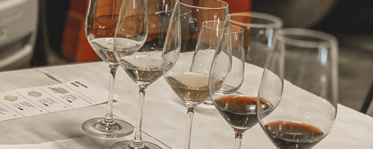 an array of white and red wine in wine glasses on a table in paso