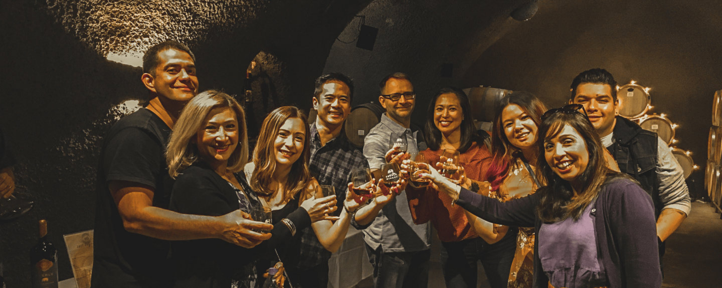 a large group cheersing with glasses of wine in a wine cave