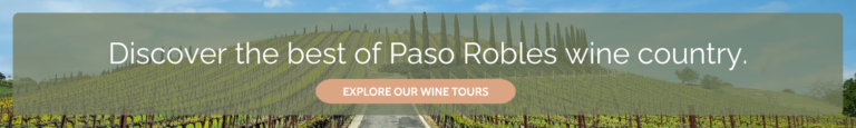 Explore Wine Tours
