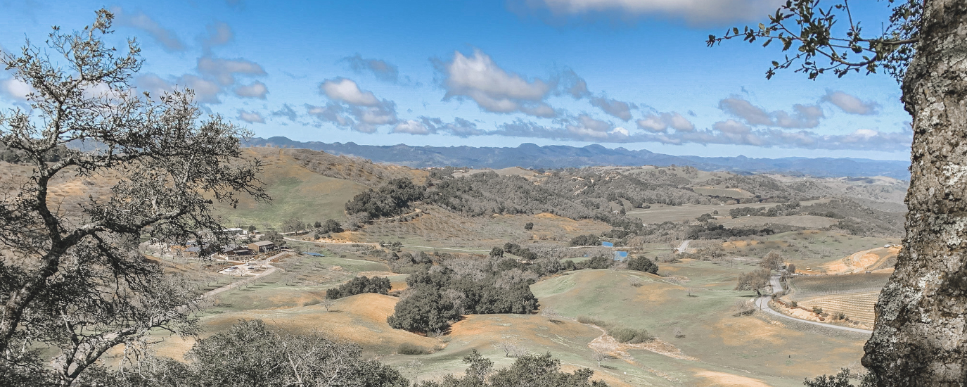 A VIEW OVERLOOKING PASO WINE COUNTRY