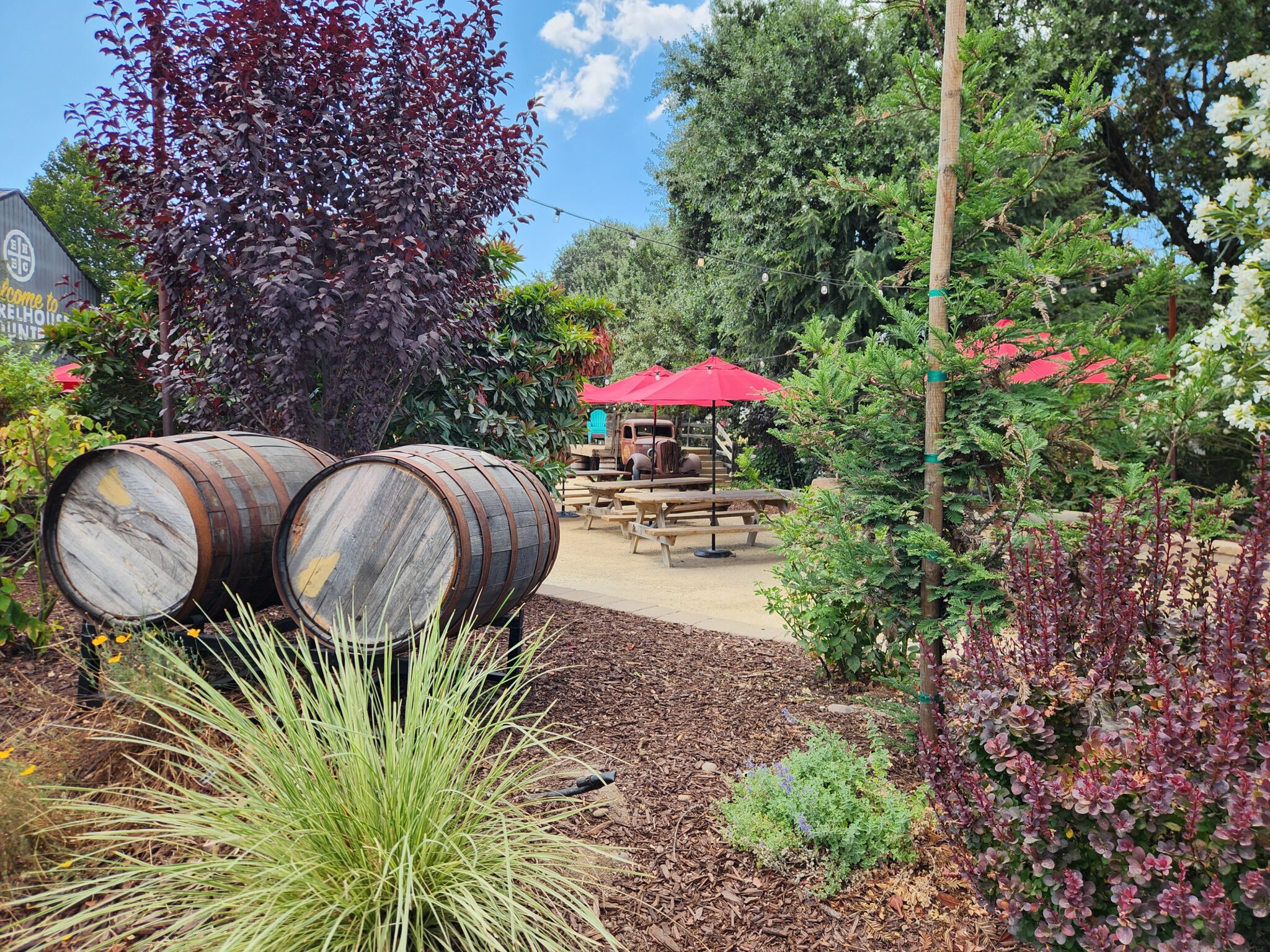 Tin City Paso Robles Toast Tours