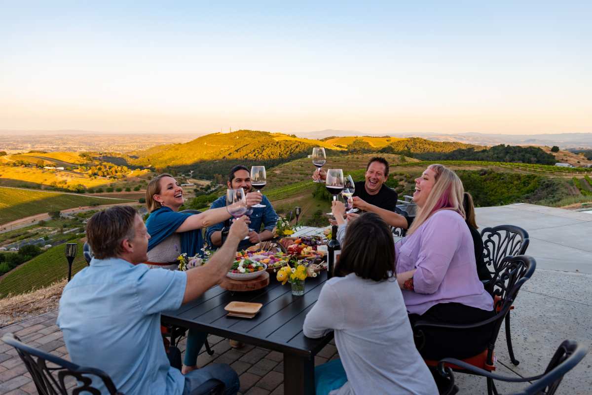 group of people toasting on a california wine country tour