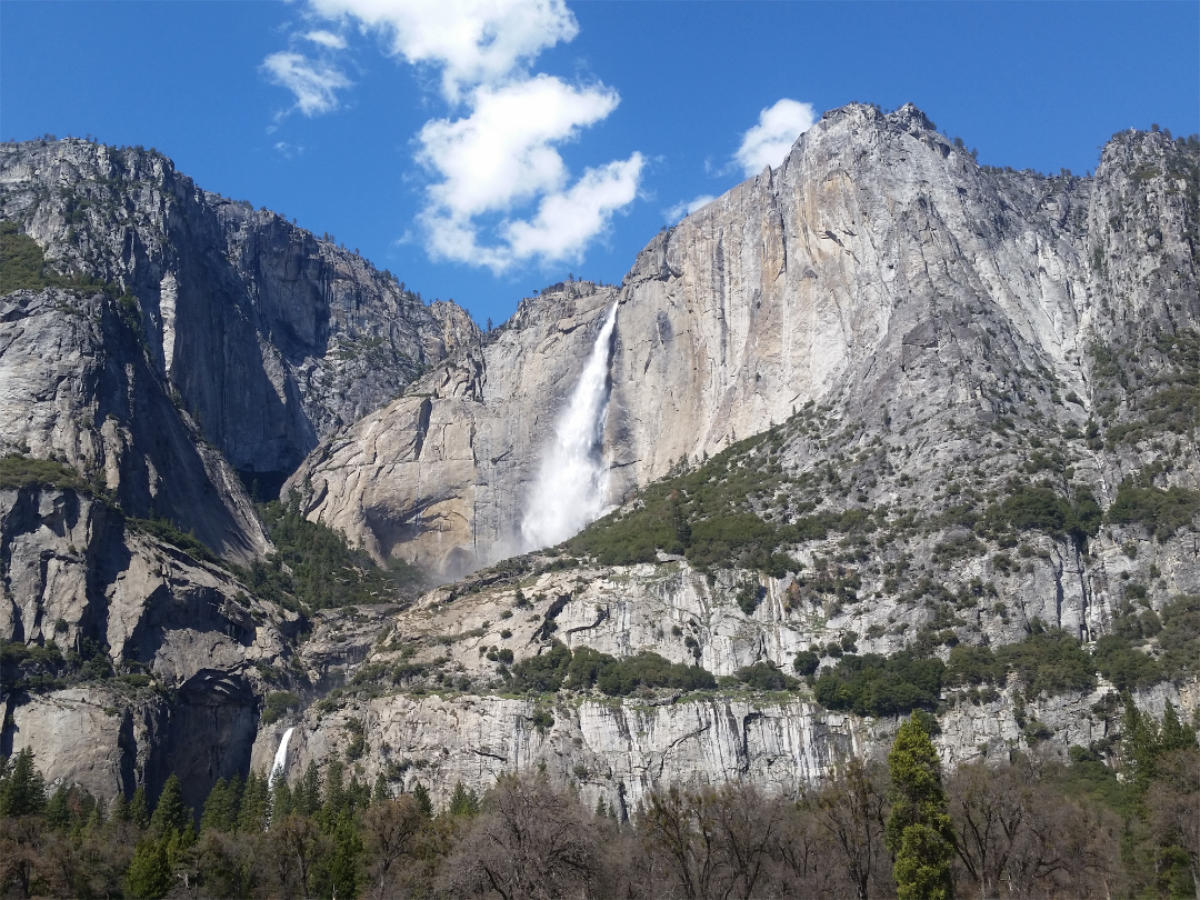 A view from a meadow onto Yosemite Falls