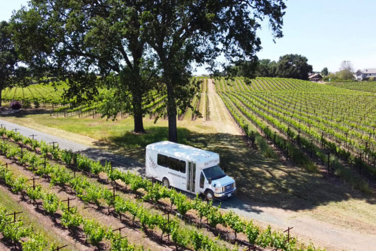 toast tour wine transportation bus driving through a vineyard in paso robles, ca