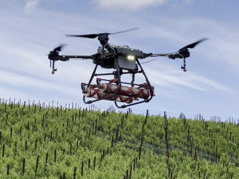 ROC Farming Practices - Drone dropping bugs on vineyard