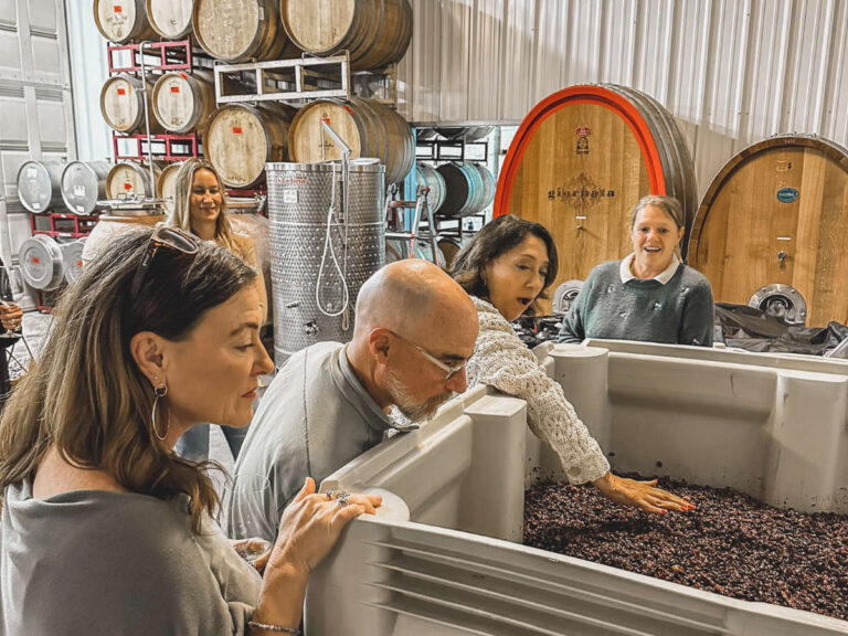 people feeling the heat coming of the fermentation of grapes in a bin