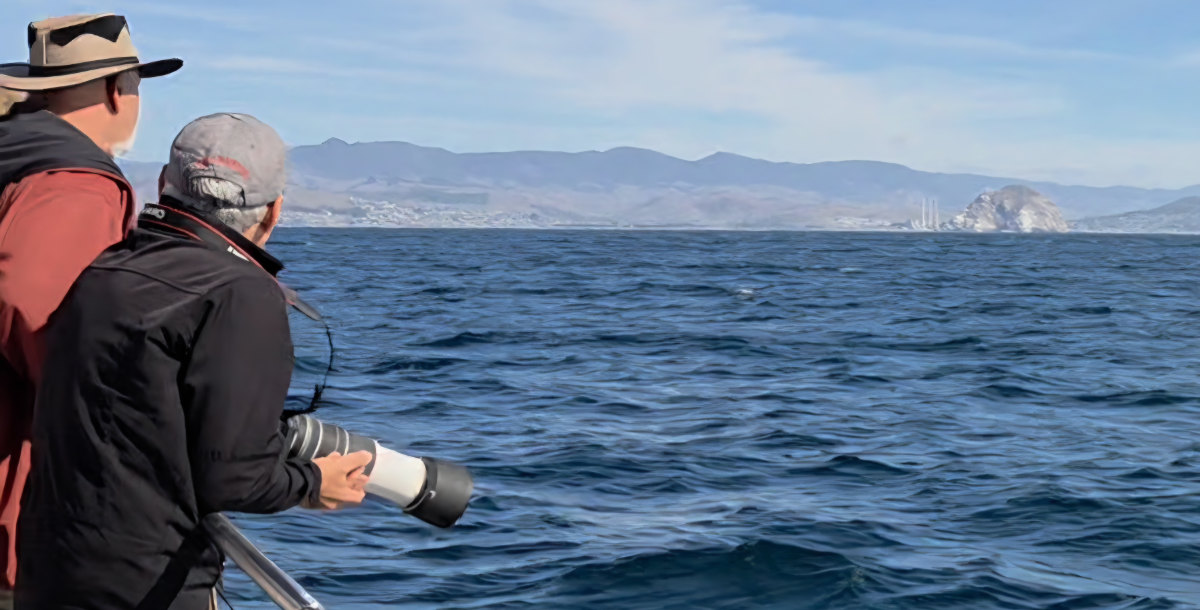 Two men whale watching with camera on a boat